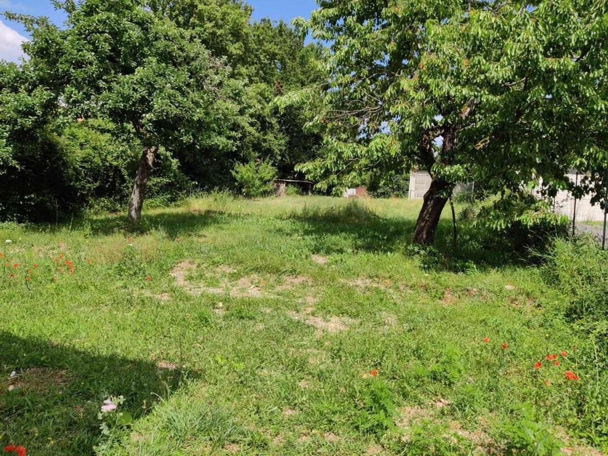 Studio Spacieux Tout Equipe Avec Jardin Varennes-Vauzelles Esterno foto